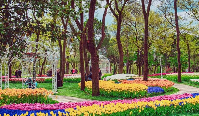 Estambul en flor: el Festival del Tulipán que transforma la ciudad cada primavera