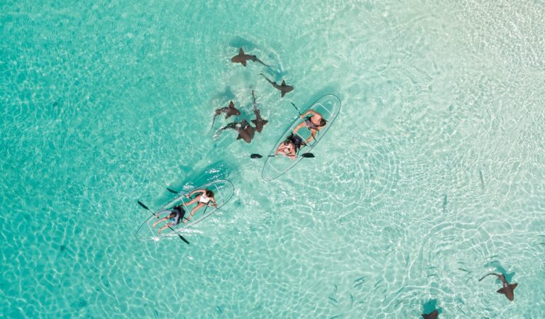 En Las Bahamas, el paraíso también es sostenible